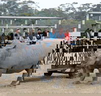 Off-Road Safari at Werribee Open Range Zoo - Restaurants Sydney