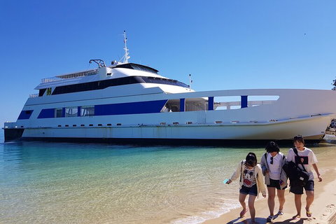 Moreton Island Day Trip (Kayak, Snorkel & Sandboard) Frm Brisbane Or Gold Coast - Restaurants Sydney 0