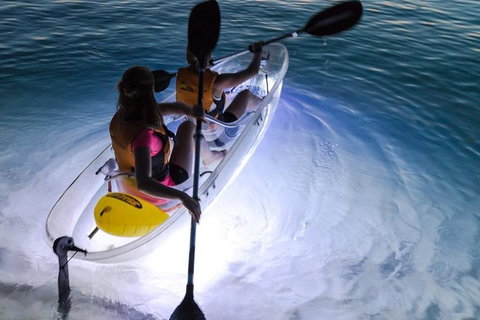 2-Day Moreton Island Tour From Brisbane Or Gold Coast With Optional Nighttime Kayaking - Restaurants Sydney 0