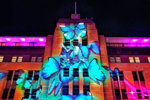 Vivid 90-Minute Sydney Harbour Small Group Catamaran Cruise - Restaurants Sydney 0