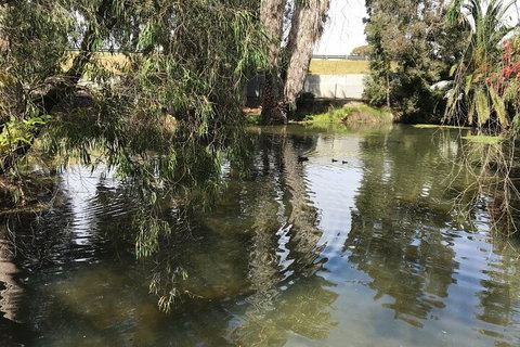 Perth East Foreshore And City Segway Tour - Restaurants Sydney 1