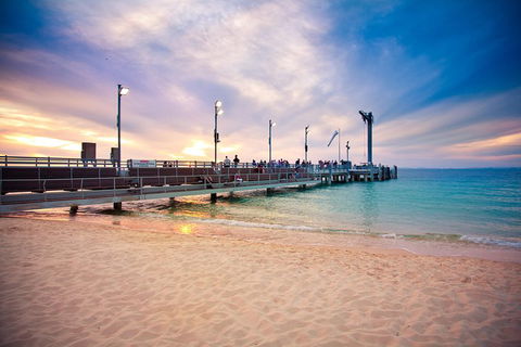Tangalooma Island Resort Whale Watching Day Cruise With Dolphin Viewing - Restaurants Sydney 3