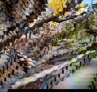 Kakadu National Park Cultural Experience - Restaurants Sydney