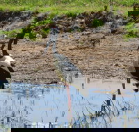 Darwin to Kakadu Day Trip by Air Including Yellow Water Cruise - Restaurants Sydney