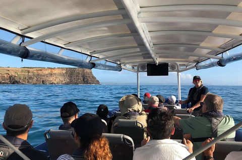 Julian Rocks Byron Bay Cruise - Restaurants Sydney 4