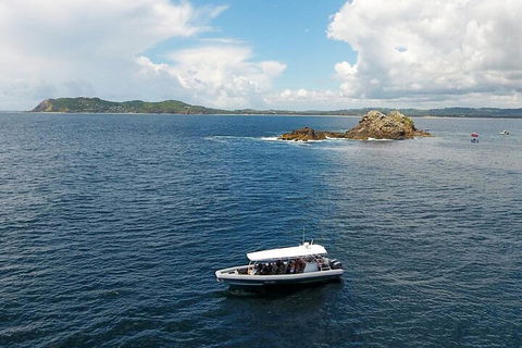 Julian Rocks Byron Bay Cruise - Restaurants Sydney 5