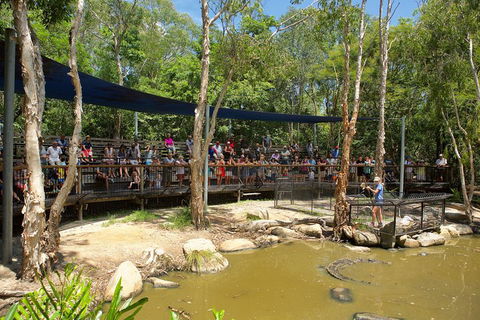 Hartley's Crocodile Adventures Breakfast With The Koalas - Restaurants Sydney 1