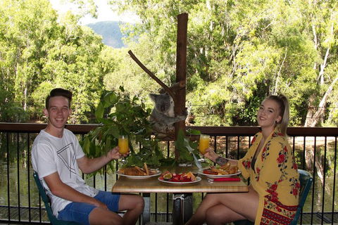 Hartley's Crocodile Adventures Breakfast With The Koalas - Restaurants Sydney 5