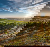 Perth to Margaret River Wine Tour - 2 Day Premium Boutique Wine Tour Experience - Restaurants Sydney