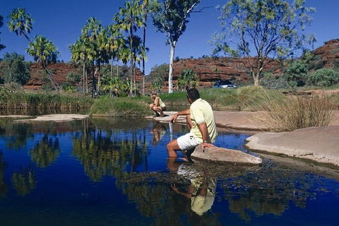 Palm Valley 4WD Day Tour - Restaurants Sydney 1