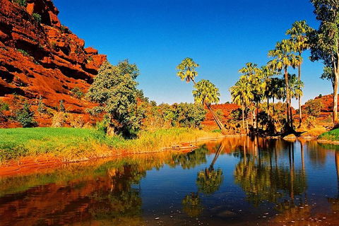 Palm Valley 4WD Day Tour - Restaurants Sydney 2