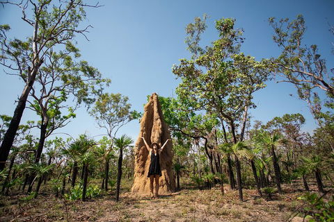 Litchfield National Park - Top End Day Tour From Darwin - Restaurants Sydney 5