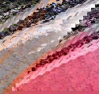 7-Day Exmouth Explorer via Pinnacles Monkey Mia Ningaloo Reef returning to Perth - Restaurants Sydney