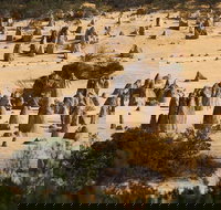 Pinnacles Sunset Dinner and Stargazing Experience a Small Group Tour - Restaurants Sydney