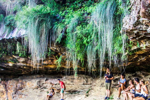 Sunset Blue Mountains Wilderness & Wildlife Tour Without The Crowds - Restaurants Sydney 1