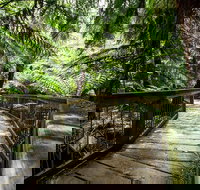 12 Apostles Eco-Friendly Great Ocean Road Iconic Adventure from Melbourne - Restaurants Sydney