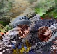 Small-Group Great Ocean Road and 12 Apostles Full-Day Tour from Melbourne - Restaurants Sydney