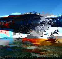 Paradise Jet Boating and Aquaduck Combo - Restaurants Sydney