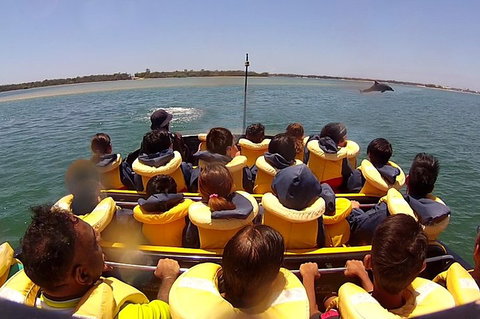 Jet Boat Express Ride - 30mins - Restaurants Sydney 5