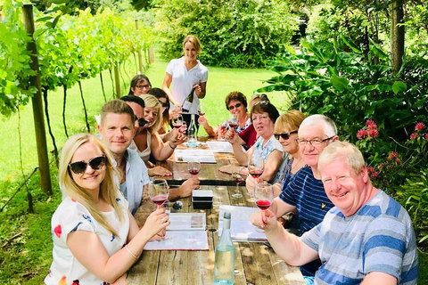 Mount Tamborine Wine Tasting Tour From Brisbane Or The Gold Coast - Restaurants Sydney 5