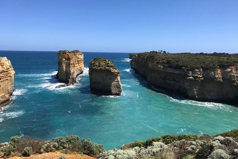Great Ocean Road Reverse Itinerary PREMIUM Tour - Restaurants Sydney 0