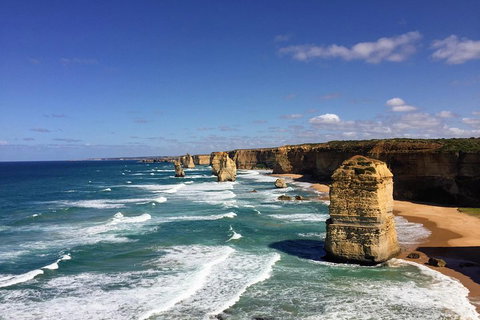 Great Ocean Road Reverse Itinerary PREMIUM Tour - Restaurants Sydney 2