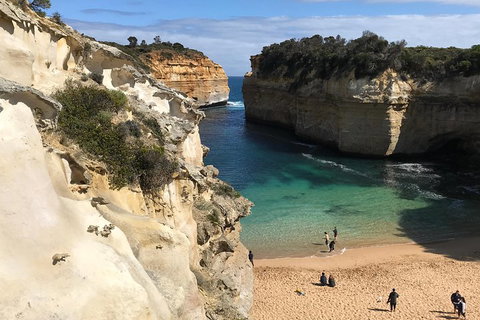 Great Ocean Road Reverse Itinerary PREMIUM Tour - Restaurants Sydney 3