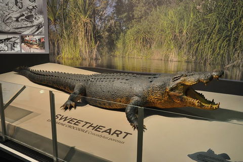 Explore Darwin City Sights Including Key Attractions - Restaurants Sydney 2
