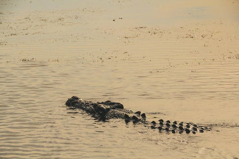 Yellow Water Cruise - Kakadu - Restaurants Sydney 2