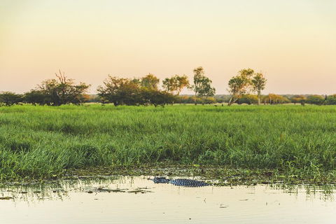 Yellow Water Cruise - Kakadu - Restaurants Sydney 3