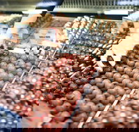 Pinnacles Desert Private Tour - Restaurants Sydney