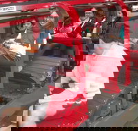 Blue Mountains Private Tour with Wildlife Park and River Cruise - Restaurants Sydney