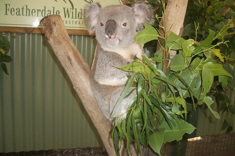 Blue Mountains Private Full-Day Tour From Sydney With Cruise - Restaurants Sydney 0