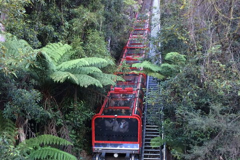 Blue Mountains Private Full-Day Tour From Sydney With Cruise - Restaurants Sydney 5