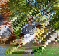 Aboriginal Heritage Walk - Royal Botanic Gardens Victoria Melbourne Gardens - Restaurants Sydney