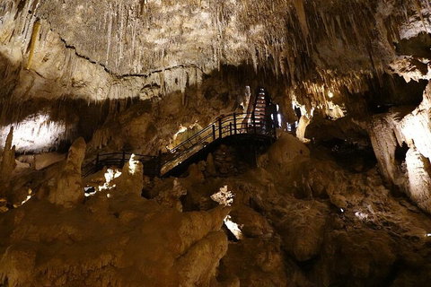 Ngilgi Cave Semi-guided Tour - Restaurants Sydney 2