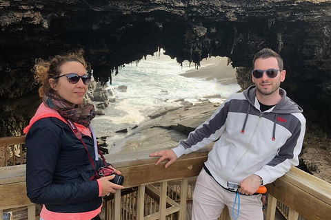 Kangaroo Island 4WD Tour - Best Of KI - Restaurants Sydney 0