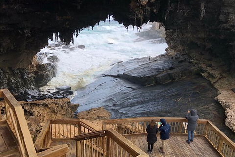 Kangaroo Island 4WD Tour - Best Of KI - Restaurants Sydney 1