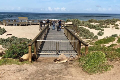 Kangaroo Island 4WD Tour - Best Of KI - Restaurants Sydney 2