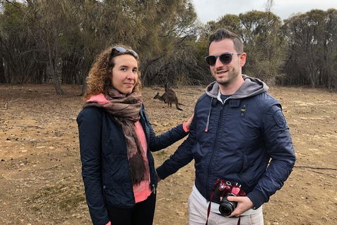 Kangaroo Island 4WD Tour - Best Of KI - Restaurants Sydney 3