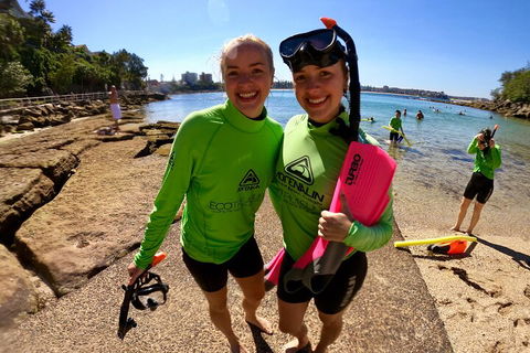 Manly Snorkel Trip And Nature Walk With Local Guide - Restaurants Sydney 1