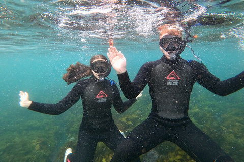 Manly Snorkel Trip And Nature Walk With Local Guide - Restaurants Sydney 3
