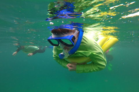 Manly Snorkel Trip And Nature Walk With Local Guide - Restaurants Sydney 5