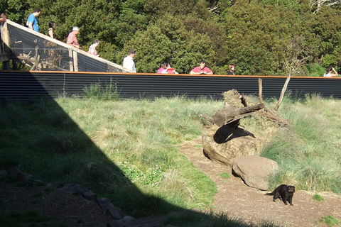 Day Keeper Tour - Restaurants Sydney 2