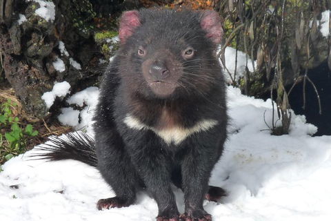 Day Keeper Tour - Restaurants Sydney 4