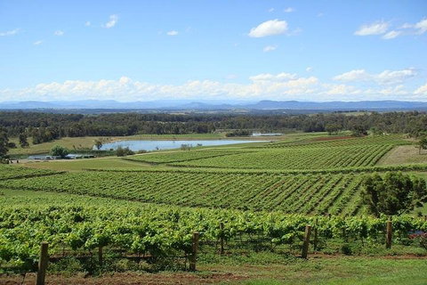 Private Hunter Valley Wine-Tasting Day Tour From Sydney - Restaurants Sydney 1