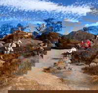 The Big Wave Rock Private Day Tour - Restaurants Sydney