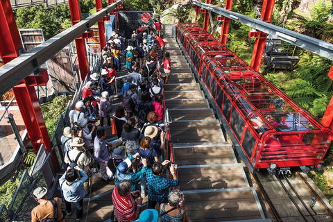 Private Guided Tour: Blue Mountains Tour From Sydney - Restaurants Sydney 1