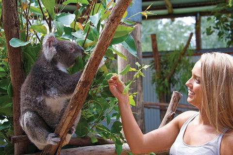 Private Guided Tour: Blue Mountains Tour From Sydney - Restaurants Sydney 5