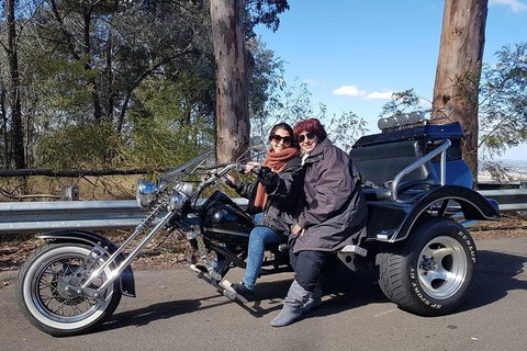 Bondi & Sydney Sights Trike Tour 1.5hrs - Restaurants Sydney 3